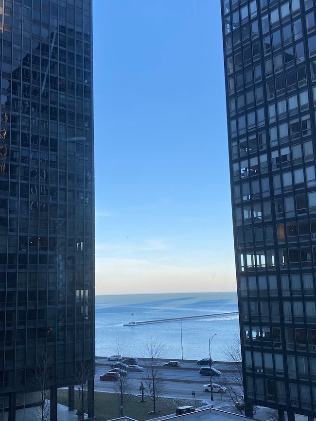 Plaza on Dewitt unit 708, Chicago, IL 60611 - photo 5