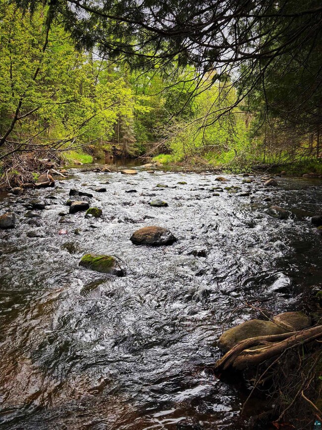 Water view featuring a heavily wooded area