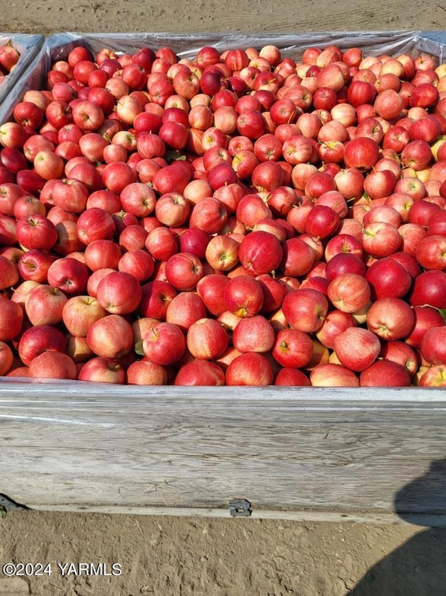 4851 Lombard Loop Rd, Zillah, WA 98953 - photo 3