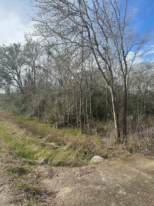 0 County Road 510u, Brazoria, TX 77422 - photo 7