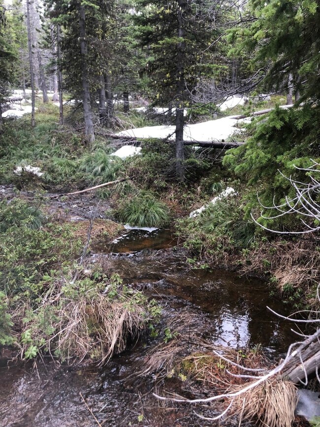 Tbd Peerless Jennie Rd unit 1, Clancy, MT 59634 - photo 3