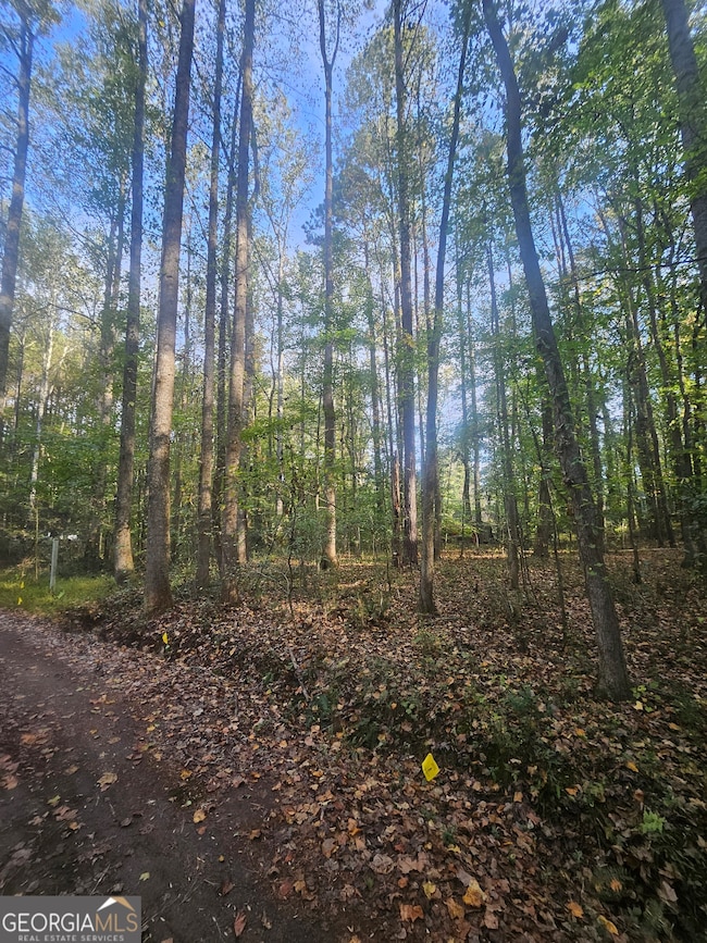 4861 Moon Rd, Powder Springs, GA 30127 - photo 6
