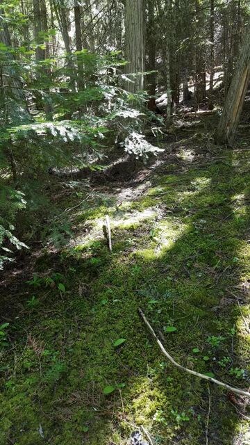 20170621_153603