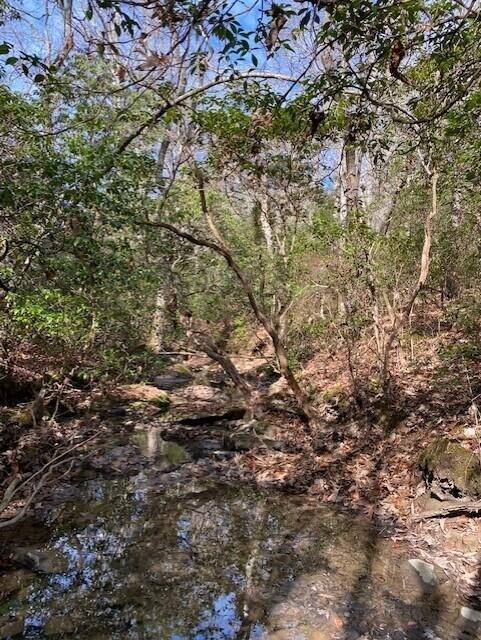 6 Thomas Springs Rd, Crossville, TN 38572 - photo 2