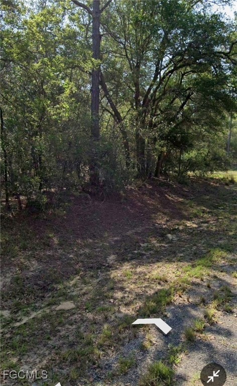 509 E Nemo Dr, Citrus Springs, FL 34434 - photo 3