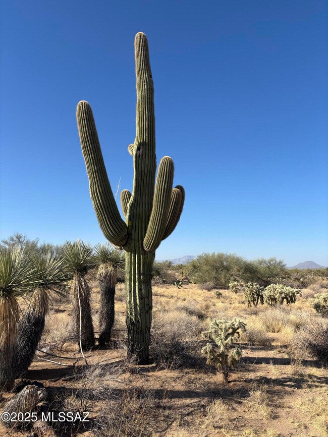 13160 W Cornell Dr unit 85, Three Points, AZ 85736 - photo 7