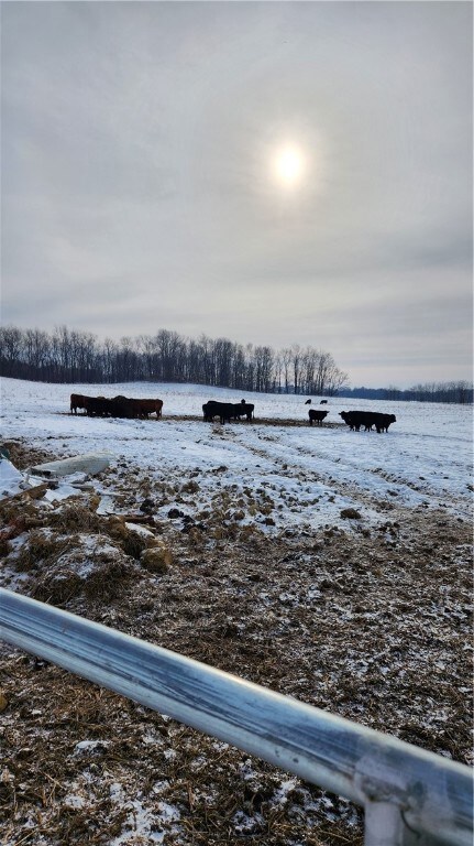 125 Runkle Ln, Mercer, PA 16137 - photo 4