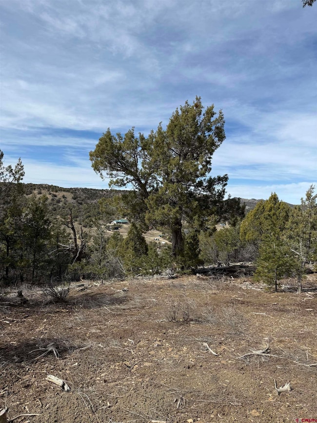 TBD J8 Rd, Mancos, CO 81328 - photo 5