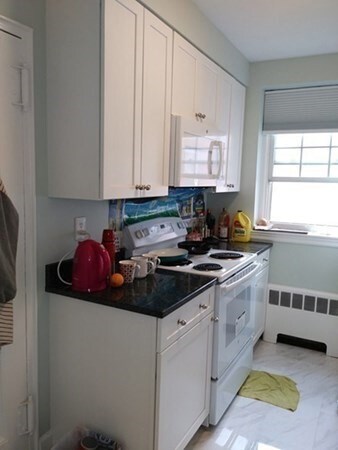1 Lanark Rd unit 4, Brookline, MA 02445 - photo 6