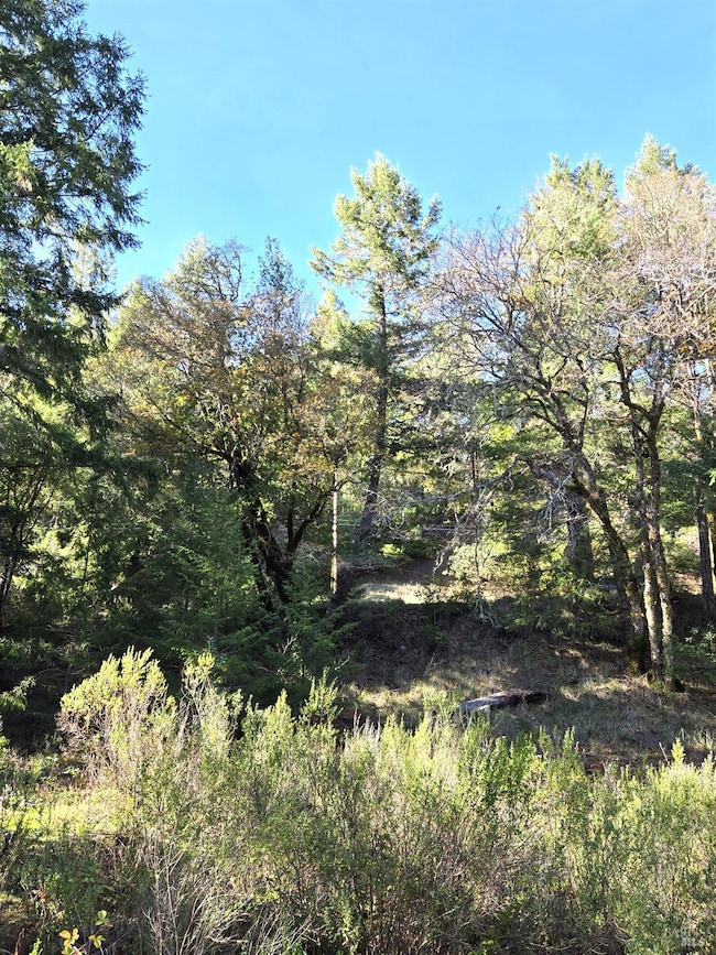 2713 Primrose Dr, Willits, CA 95490 - photo 2