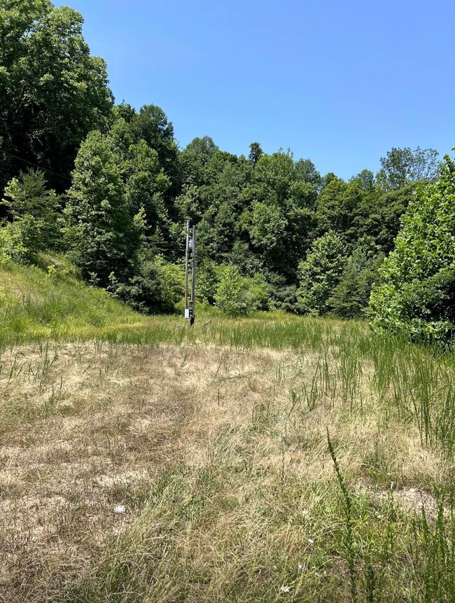 4 Mile Creek 30 25 Acres, Branchland, WV 25506 - photo 6