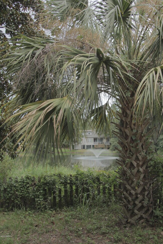 Backyard View of Pond