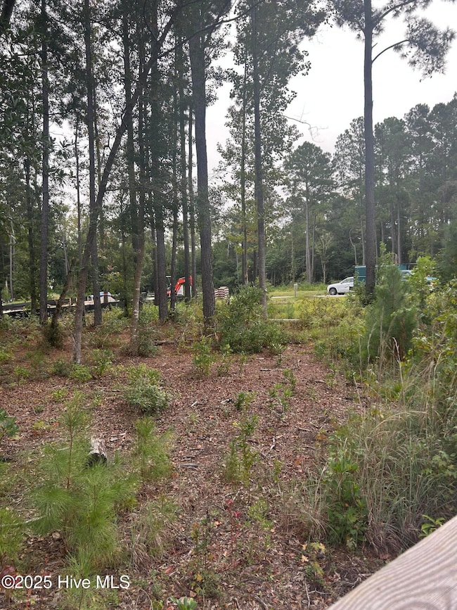 1629 Riverside Dr, Wilmington, NC 28401 - photo 6