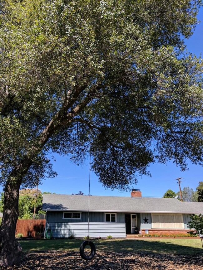 3682 Suzanne Way, Redding, CA 96002 - photo 6