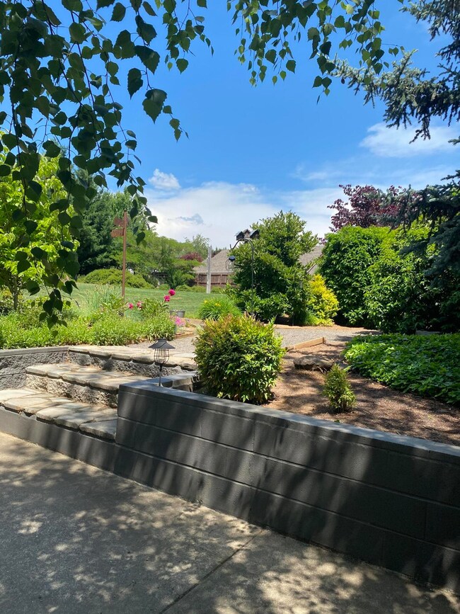 619 3rd St, Rogue River, OR 97537 - photo 6