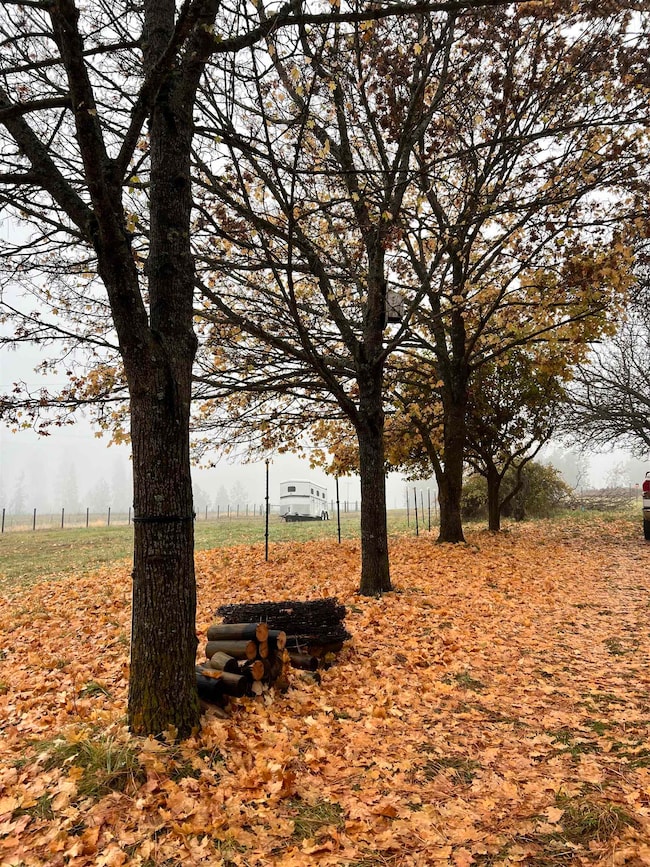 29411 N Dunn Rd, Chattaroy, WA 99003 - photo 6