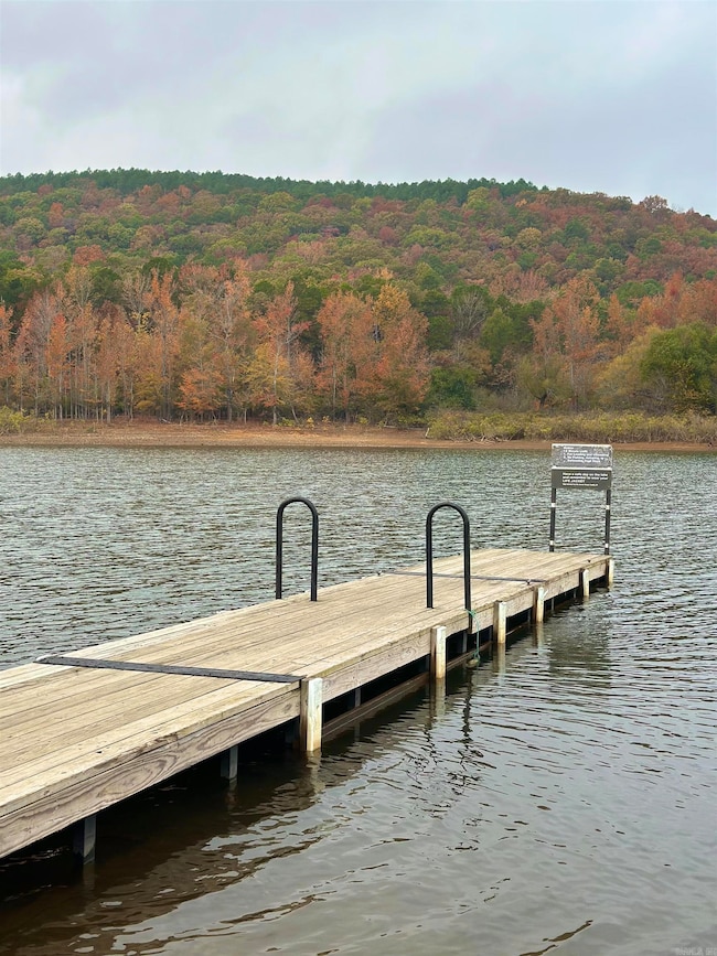 1175 Cove Creek Rd, Quitman, AR 72131 - photo 3