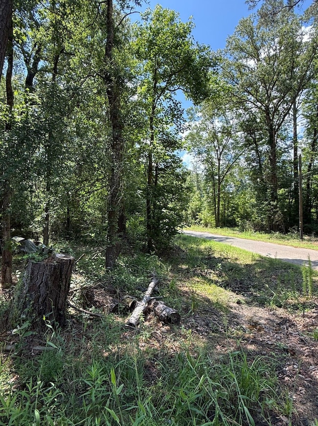 0 Zoar Rd unit Louisiana 71226, Chatham, LA 71226 - photo 6