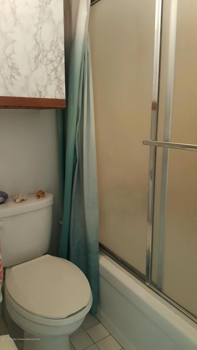 1337 Vine St unit 1337, Aspen, CO 81611 - photo 6