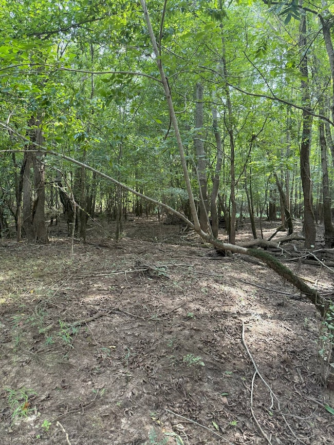 TBD Quitman Hwy, Hodge, LA 71268 - photo 4