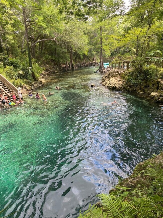 Madison blue spring