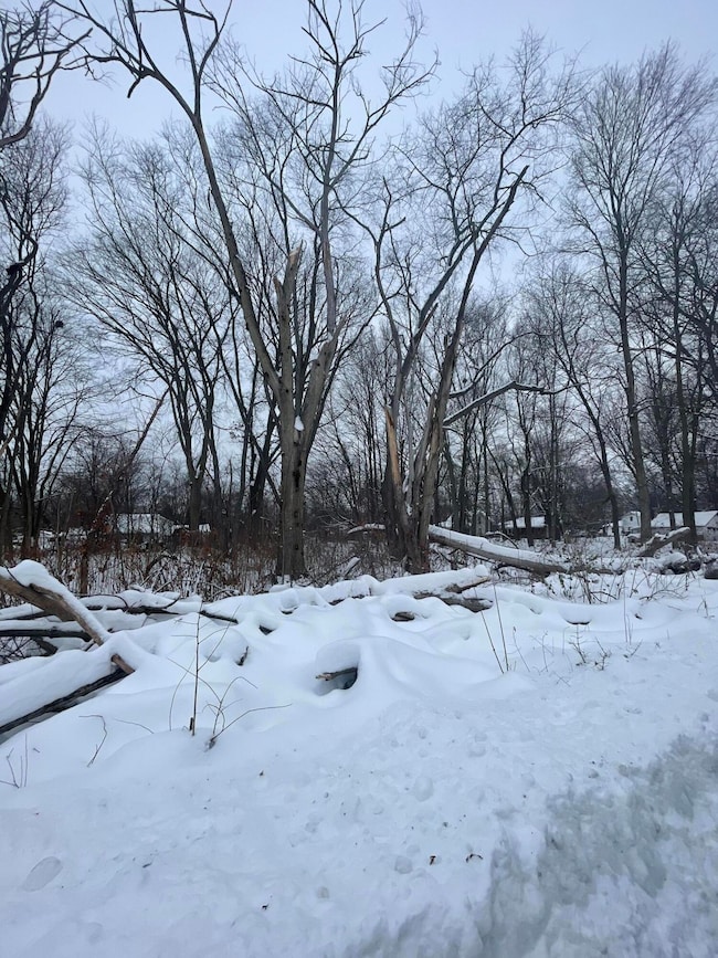 0 V L 13th and Cypress Ct, Three Rivers, MI 49093 - photo 2