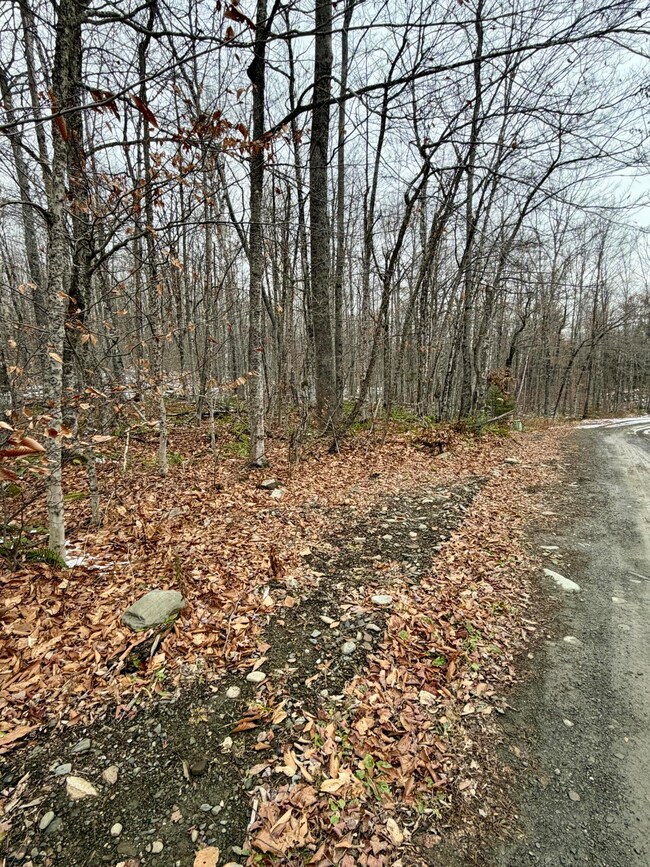 Lot 104 Hornbeam Ridge Rd, Dexter, ME 04930 - photo 4