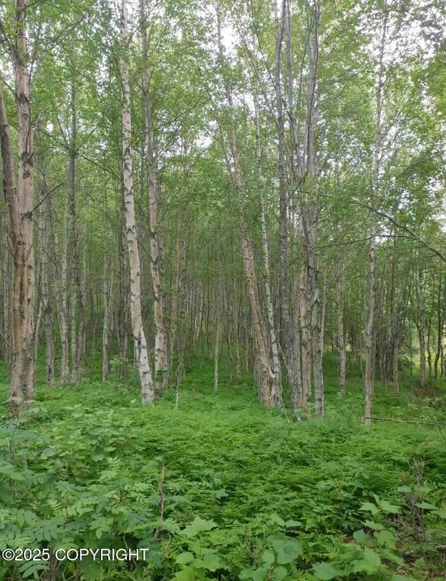 000 Oxford Ave, Kalifornsky, AK 99669 - photo 4