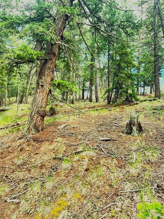 179 Kenosha Way, Florissant, CO 80816 - photo 2