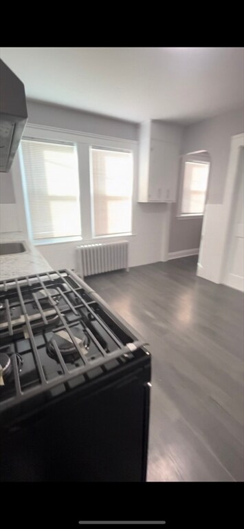 308 Cummins Hwy unit 3, Roslindale, MA 02131 - photo 6