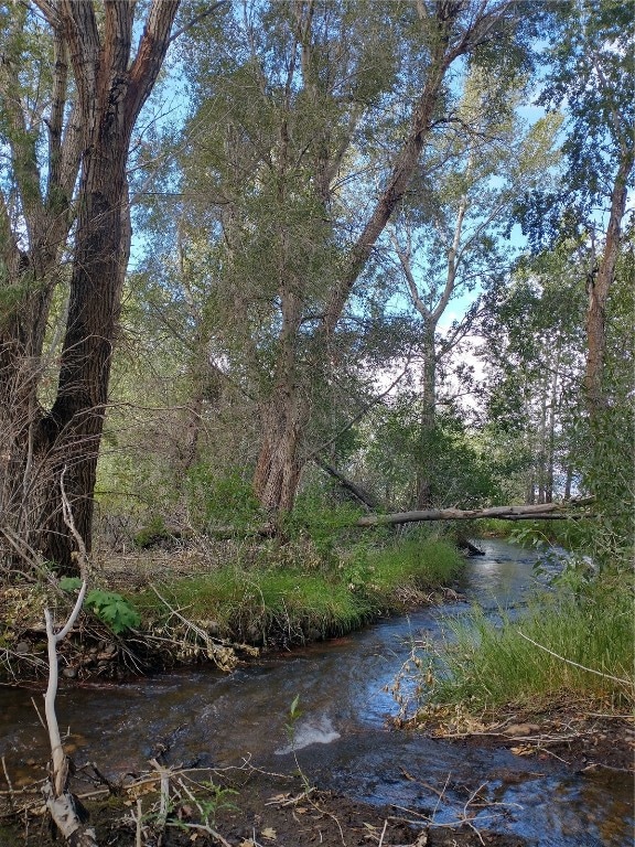 Cotton Creek on the South side of the property
