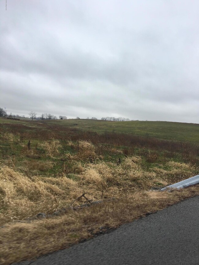 road view