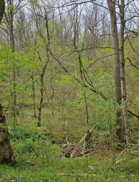 1247 Rocky Branch Rd, Linden, WV 25259 - photo 3