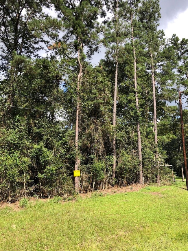 TBD Pelican St, Magnolia, TX 77355 - photo 3