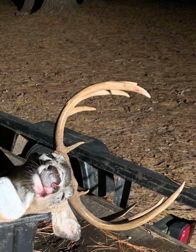 8321 Dragonfly Rd, Warrens, WI 54666 - photo 5