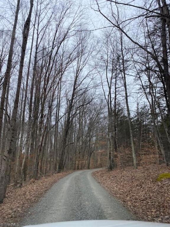 1223 Weatherford Dr, King, NC 27021 - photo 4