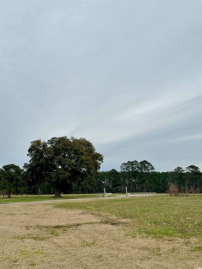 4235 Highway 65, Conway, SC 29526 - photo 4