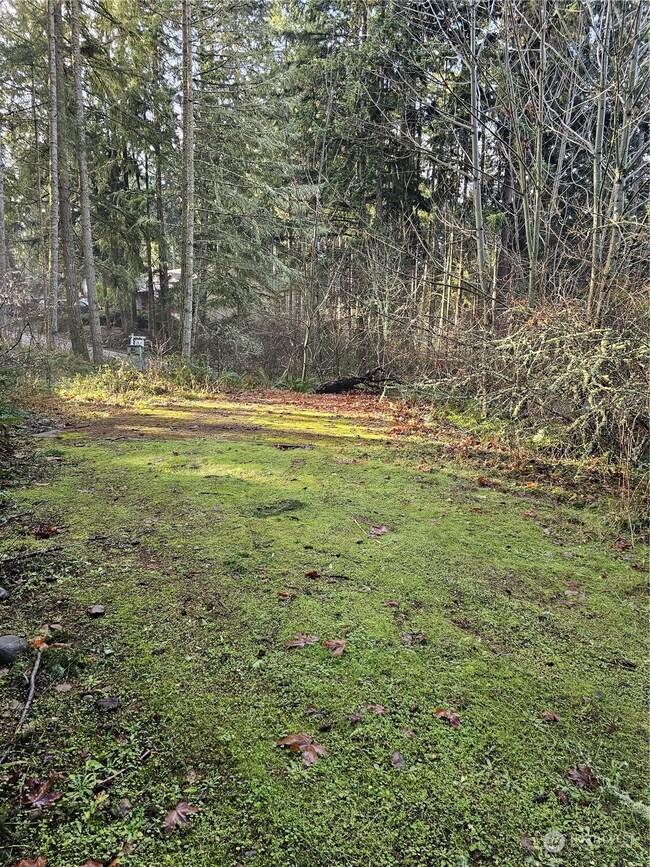 18404 Rampart Ct SE, Yelm, WA 98597 - photo 6