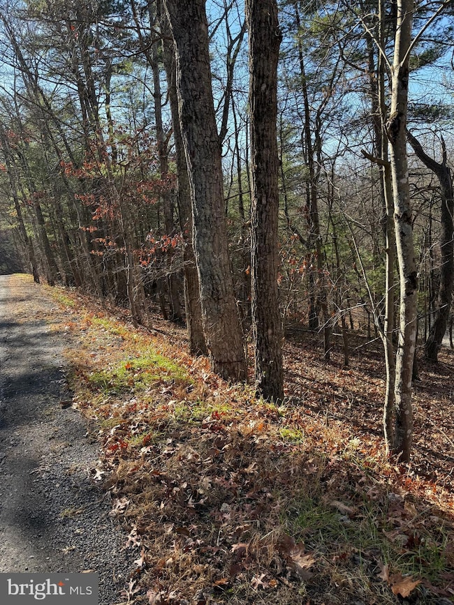 0 Susan Rd, Mount Jackson, VA 22842 - photo 3