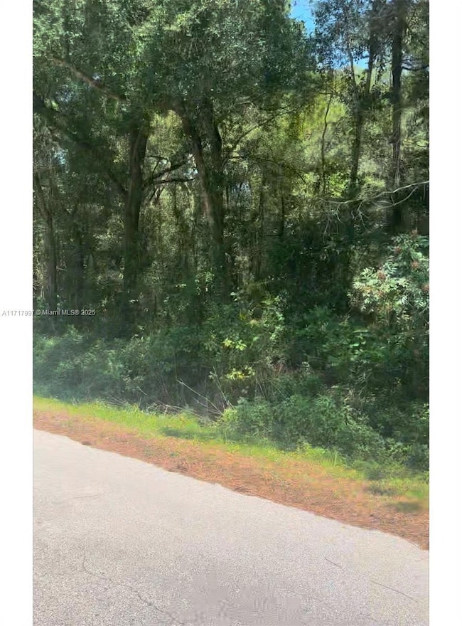 19835 SW 57th St, Ocala, FL 34431 - photo 4