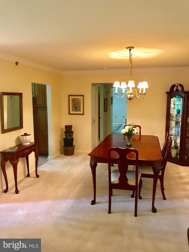 12 Rainflower Path unit 203, Sparks Glencoe, MD 21152 - photo 2