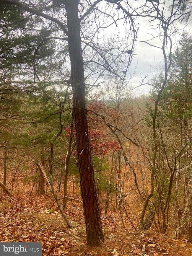 0 Spitz Ln unit VASH2013020, Basye, VA 22810 - photo 6