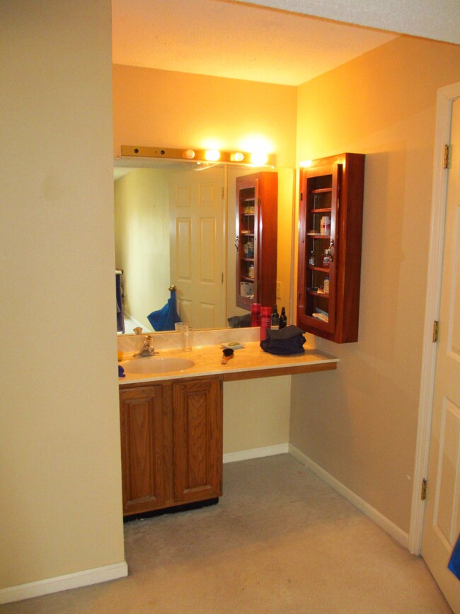 Master Bedroom Sink