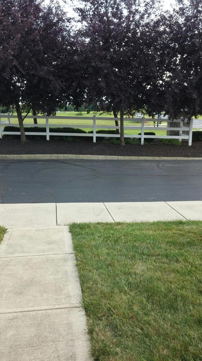20150805_185714_resized