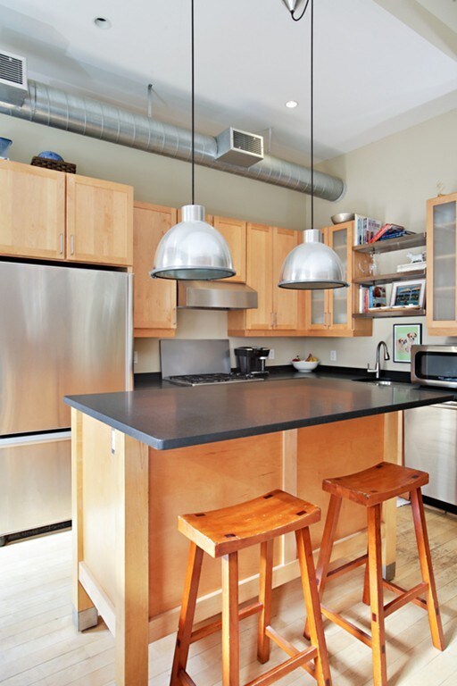 35 E Concord St unit 2, Boston, MA 02118 - photo 2