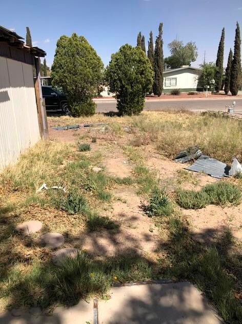 117 Desert Mesa Dr, Horizon City, TX 79928 - photo 5