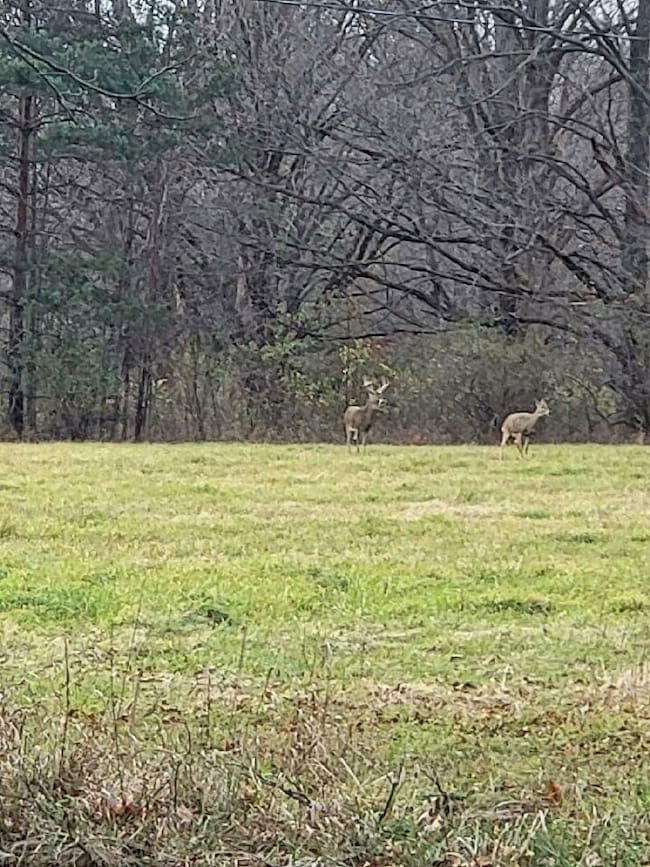 2222 101st Ave, Otsego, MI 49078 - photo 3