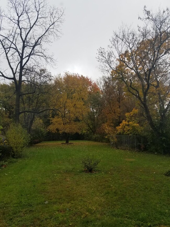20181102_100652_1541706411504