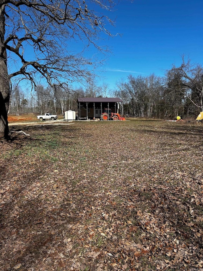86 Acres Palestine Rd, Warm Springs, AR 72478 - photo 3