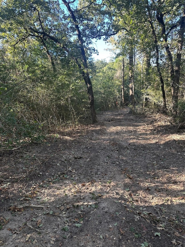 TR 2 Cr 219, Buffalo, TX 75831 - photo 5